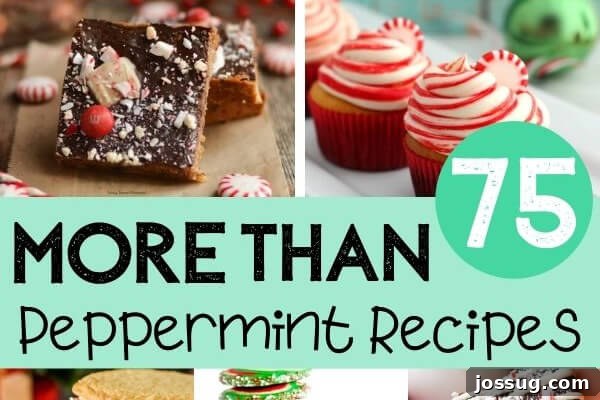 A festive horizontal banner showcasing a variety of peppermint-infused desserts and drinks, perfect for a holiday recipe roundup.