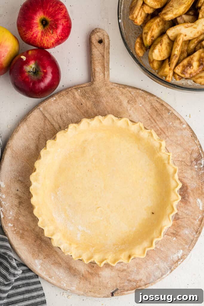 Pie crust ready for filling, surrounded by apples and spiced apple slices