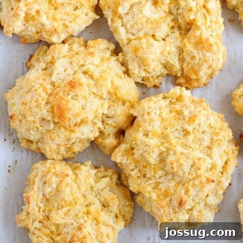 Cheddar Garlic Buttermilk Drop Biscuits (Quick & Easy)