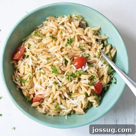 Lemon Parmesan Orzo - Instant Pot (Quick & Easy Pasta Side)