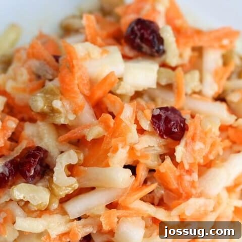 Apple Cranberry Coleslaw with Sweet Vinaigrette Dressing