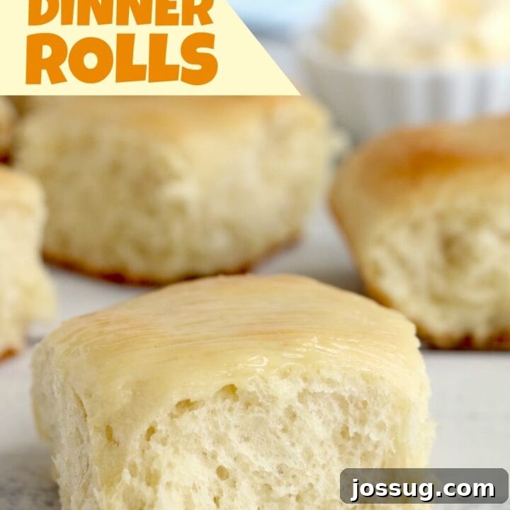 Easy Dinner Rolls (Freshly Baked Thanksgiving Side)