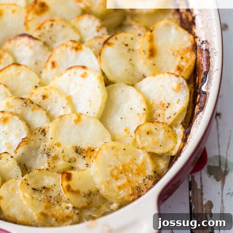 Cheesy Scalloped Potatoes with Smoked Gouda