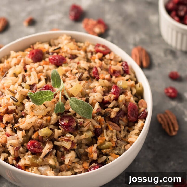 Holiday Wild Rice Pilaf with Cranberries and Pecans