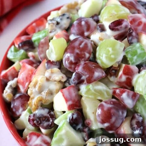 Waldorf Salad with Apples, Grapes, Celery, Cranberries, Walnuts, and Vanilla Yogurt