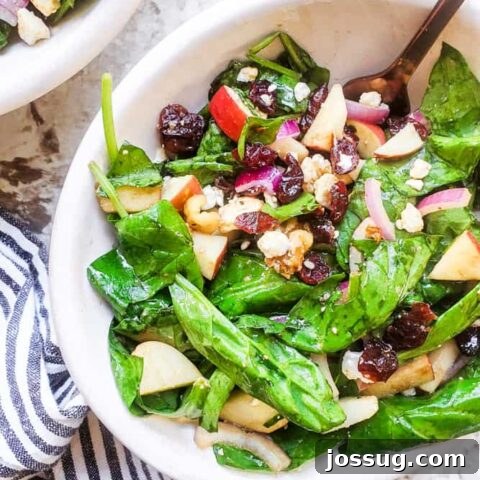 Spinach Apple Salad with Honey Balsamic Vinaigrette (Healthy & Vegetarian)