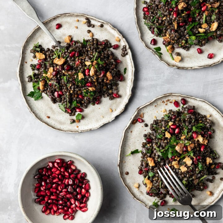 Black Lentil Pomegranate Salad | Vegan Holiday Side Dish Recipe
