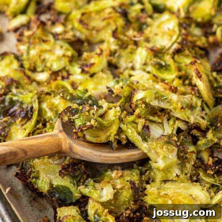Parmesan Roasted Brussel Sprouts Recipe