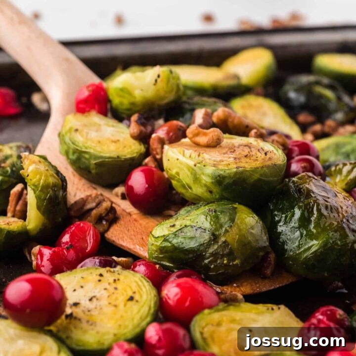 Roasted Brussels Sprouts & Cranberries with Pecans & Balsamic Vinegar