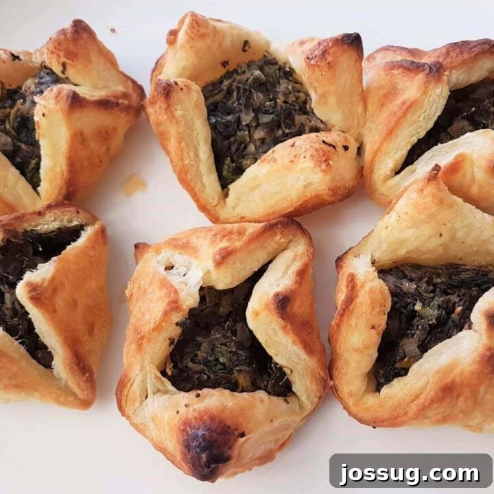 Spinach Puffs Appetizer Recipe (Middle Eastern Twist)