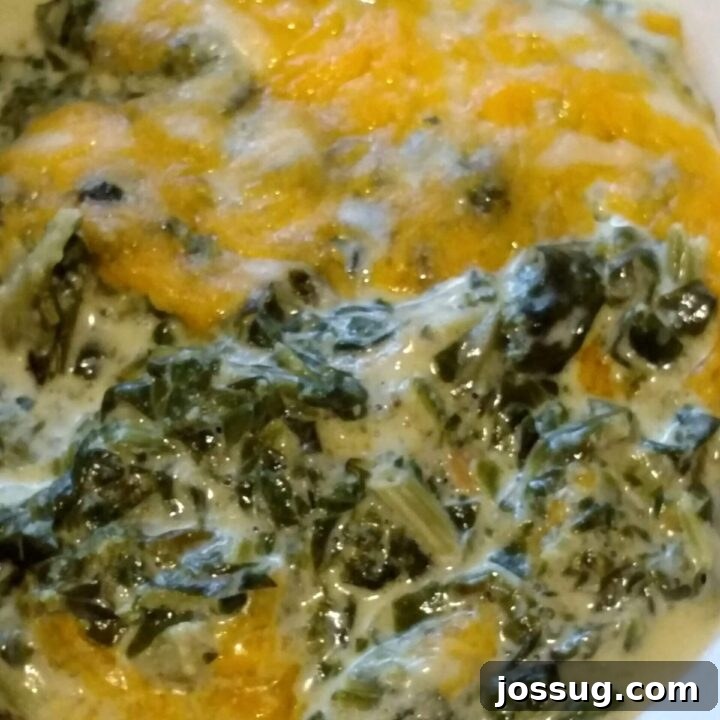 Creamy Spinach Cheese Bake (Low Carb, Gluten-Free, Make Ahead)