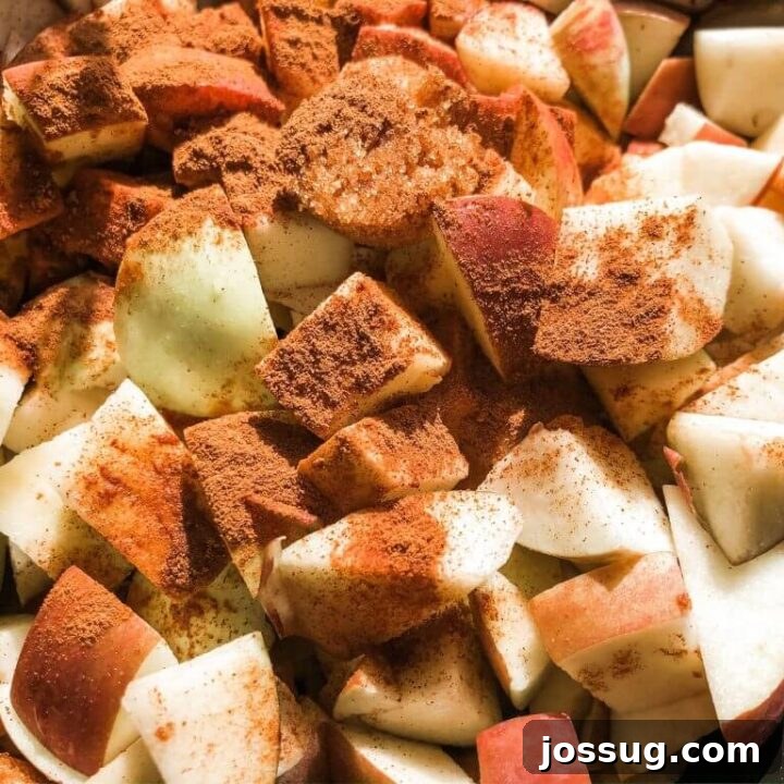 Homemade Brown Sugar Cinnamon Applesauce (Crockpot Fall Flavors)