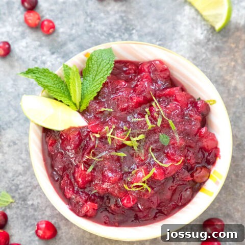 Mojito Cranberry Sauce (Cocktail Twist)