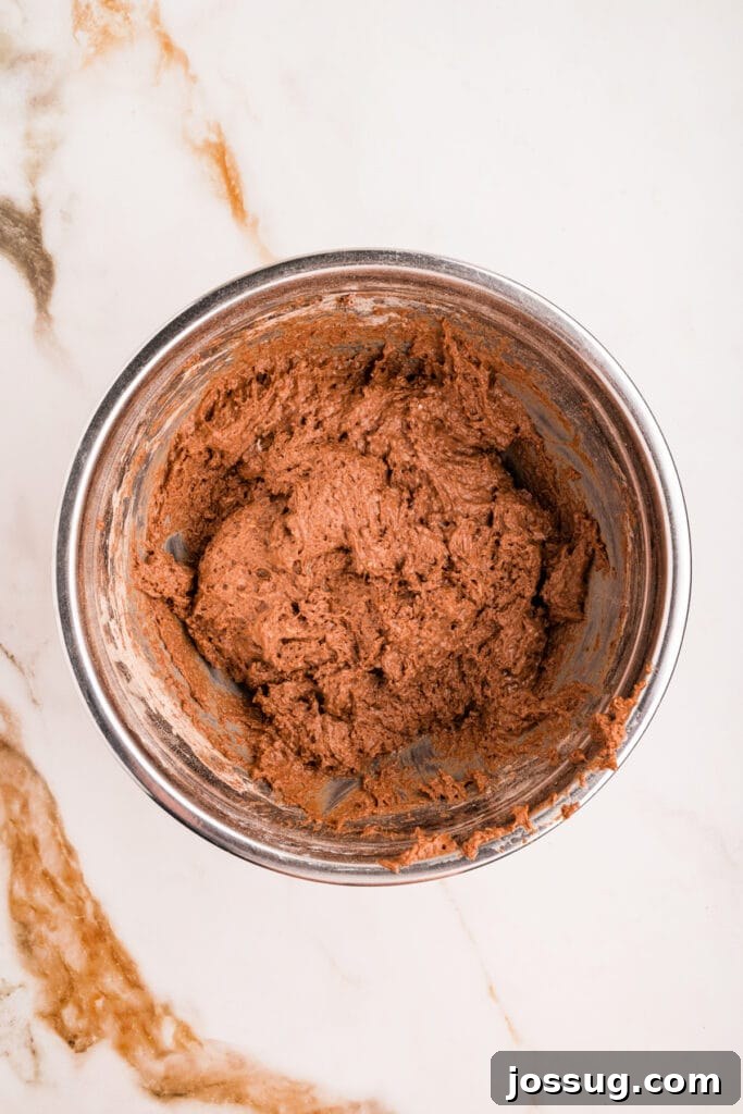Fully mixed chocolate donut dough ready to scoop