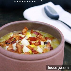 Southwest Fiesta Potato Feast 2 Southwest Potato Soup