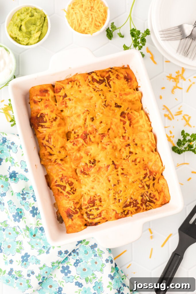 finished ground beef enchiladas in a casserole dish, topped with fresh cilantro