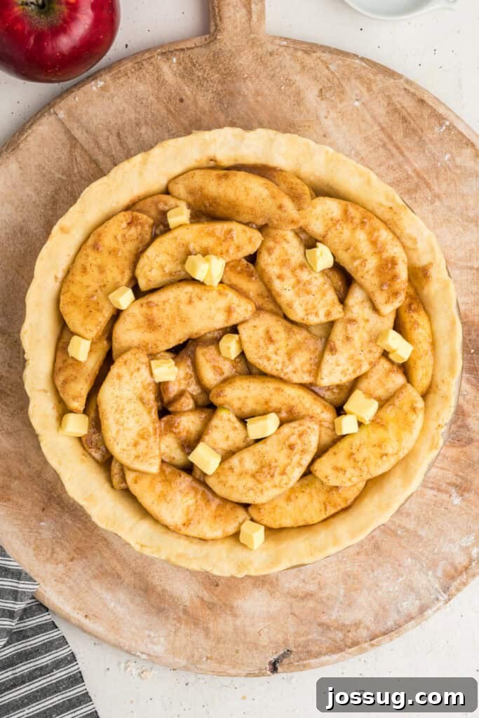 The apple pie filling, perfectly nestled within its crust, is topped with small, evenly distributed cubes of cold butter, awaiting the top crust and baking.