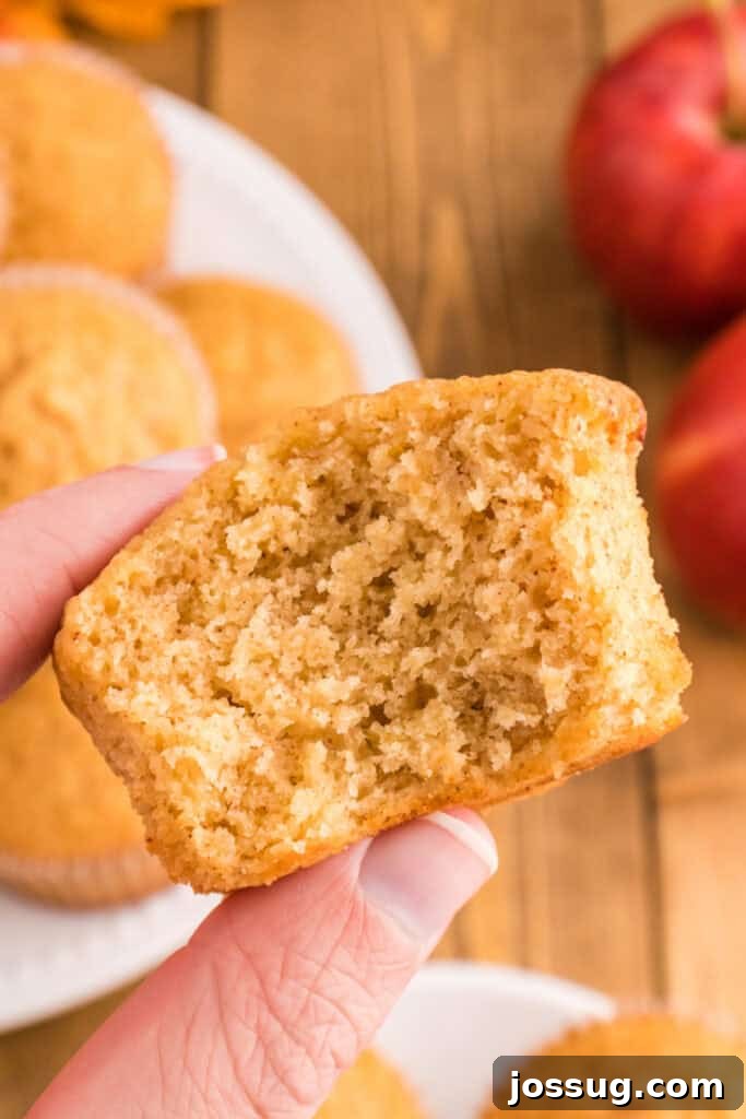 Cider Mill Muffins 12 Hand holding a half-eaten apple cider muffin, showing the fluffy and moist interior crumb texture.