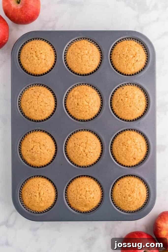 Cider Mill Muffins 10 Freshly baked apple cider muffins still in the muffin pan, golden brown and fluffy.