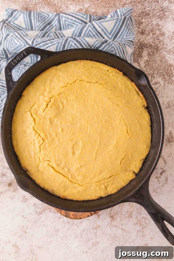 Cultured Cornbread 15 Freshly baked golden sourdough discard cornbread in a cast iron skillet, cooling on a cloth.
