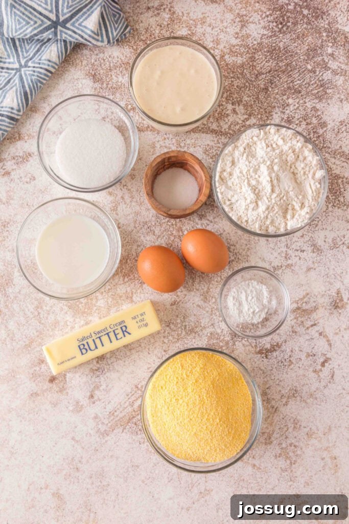 Cultured Cornbread 3 Overhead shot of all measured ingredients for sourdough discard cornbread, including yellow cornmeal, all-purpose flour, large eggs, whole milk, granulated sugar, melted butter, and a bowl of active sourdough starter, neatly arranged on a counter.