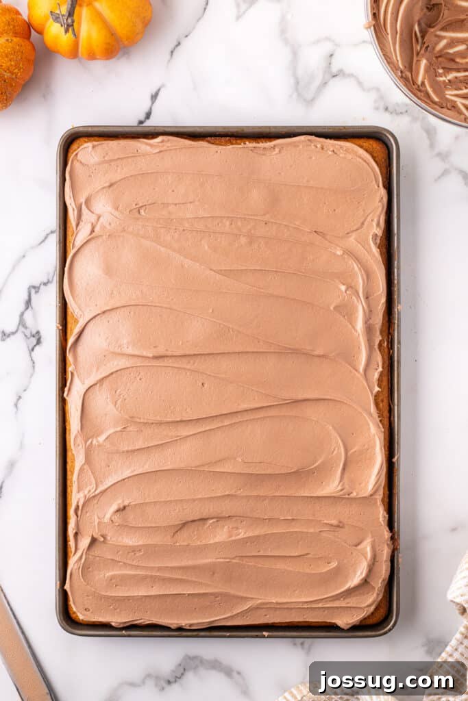 Overhead view of a full pan of freshly frosted pumpkin bars with perfectly smooth Nutella buttercream, ready to be cut.
