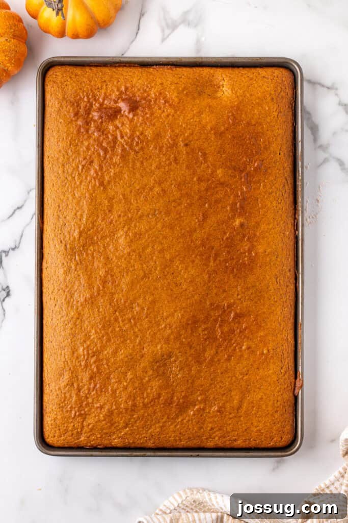 Golden Pumpkin Squares 10 A pan of golden-brown, fully baked pumpkin bars is shown cooling on a wire rack on a marble countertop, allowing them to settle before frosting.