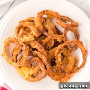 fried onion rings on plate