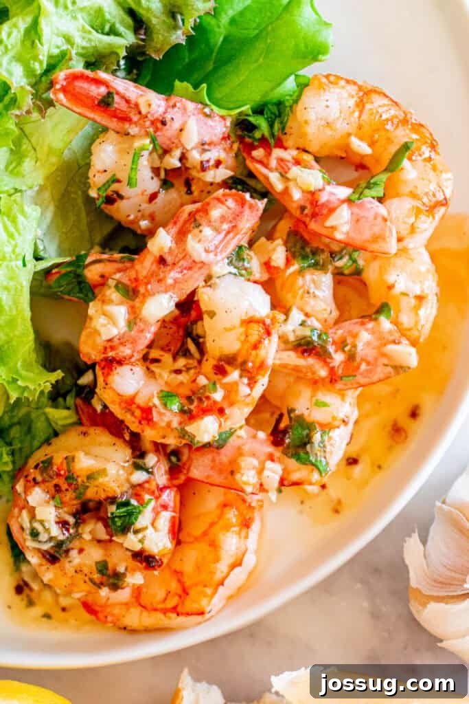 Succulent Air Fryer Garlic Butter Shrimp 9 An enticing plate of beautifully cooked shrimp, generously tossed in a luscious, shimmering garlic butter sauce and elegantly garnished with fresh parsley. The dish is served alongside a crisp, verdant lettuce salad, offering a refreshing contrast.
