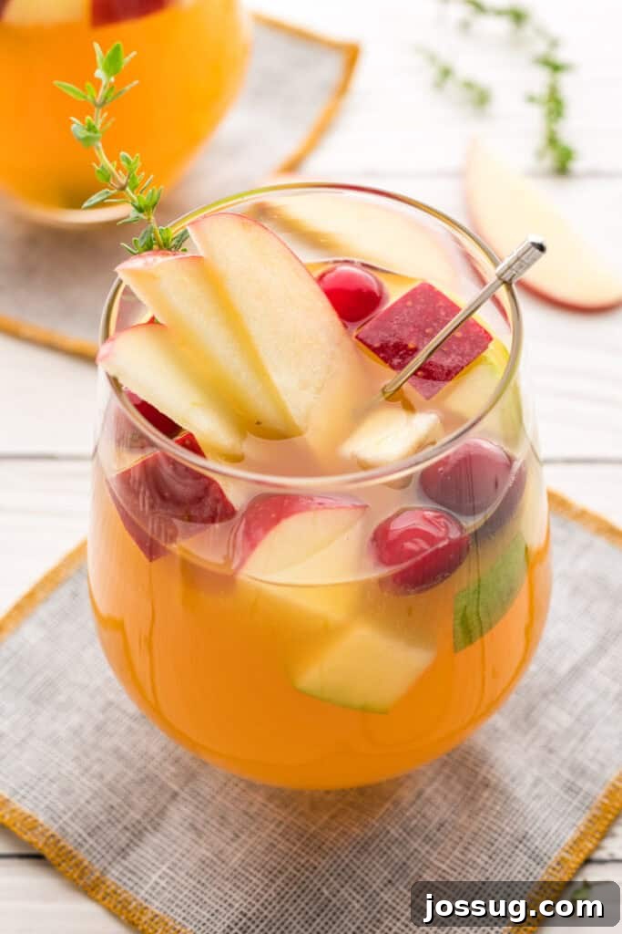 Autumn Orchard Sangria 2 Side view of apple cider sangria in a stemless wine glass with fresh fruit and herbs