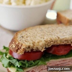 A delectable Classic Ham Sandwich, freshly made with wholesome ingredients and ready to be enjoyed.