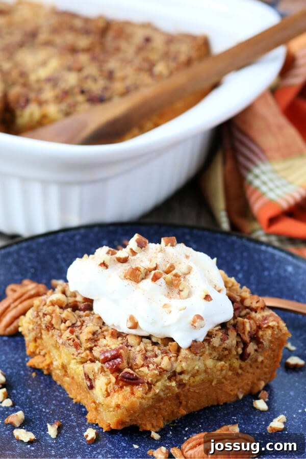 Spiced Pumpkin Crumble Bake 2 A perfectly sliced piece of golden-brown Pumpkin Dump Cake served on a festive blue plate, ready to be enjoyed.