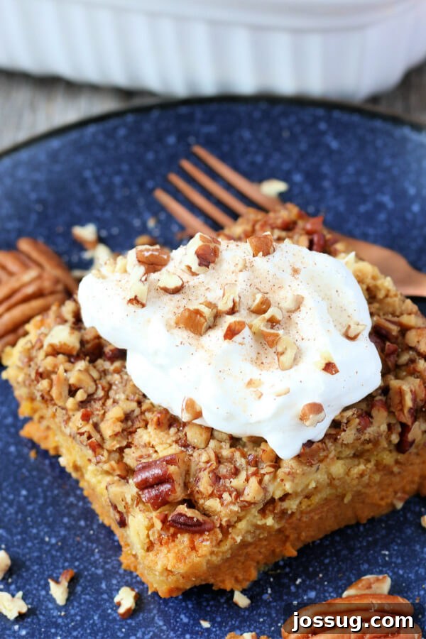 Spiced Pumpkin Crumble Bake 3 A full Pumpkin Dump Cake presented on a beautiful blue serving dish, showcasing its inviting golden crust and rich color.