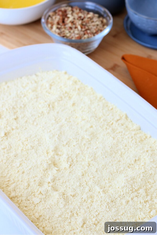 Spiced Pumpkin Crumble Bake 7 The dry yellow cake mix has been evenly sprinkled over the smooth pumpkin layer in the baking pan, creating a contrasting base for the butter and pecans.