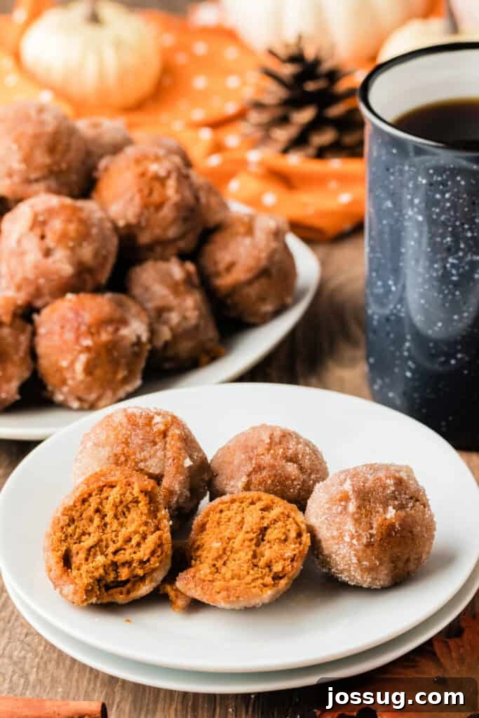 Pumpkin Poppers 2 Plate of pumpkin donut holes coated in cinnamon sugar, with one cut open to show the soft pumpkin spice center, next to a coffee mug.