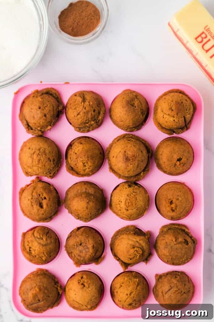 Pumpkin Poppers 8 Baked pumpkin donut holes cooling in a pink silicone mold, golden brown and puffed.