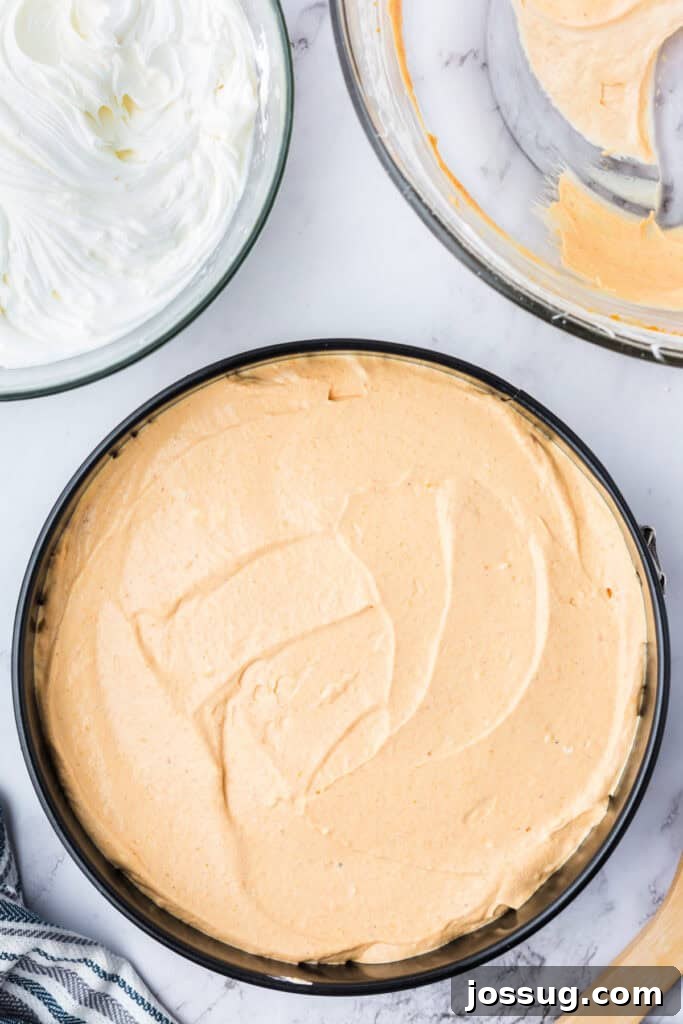 Decadent No-Bake RumChata Pumpkin Cheesecake 14 Pumpkin cheesecake filling layer spread evenly over the graham cracker crust in a springform pan, with whipped mixture in a bowl nearby.
