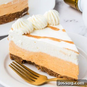 Square cropped view of a plated slice of no bake RumChata pumpkin cheesecake with whipped cream swirls and cinnamon drizzle.