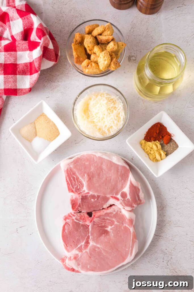 Golden Crispy Air Fried Bone In Pork Chops 3 Ingredients for air fryer bone-in pork chops including pork chops, croutons, grated cheese, spices, and olive oil on a counter.
