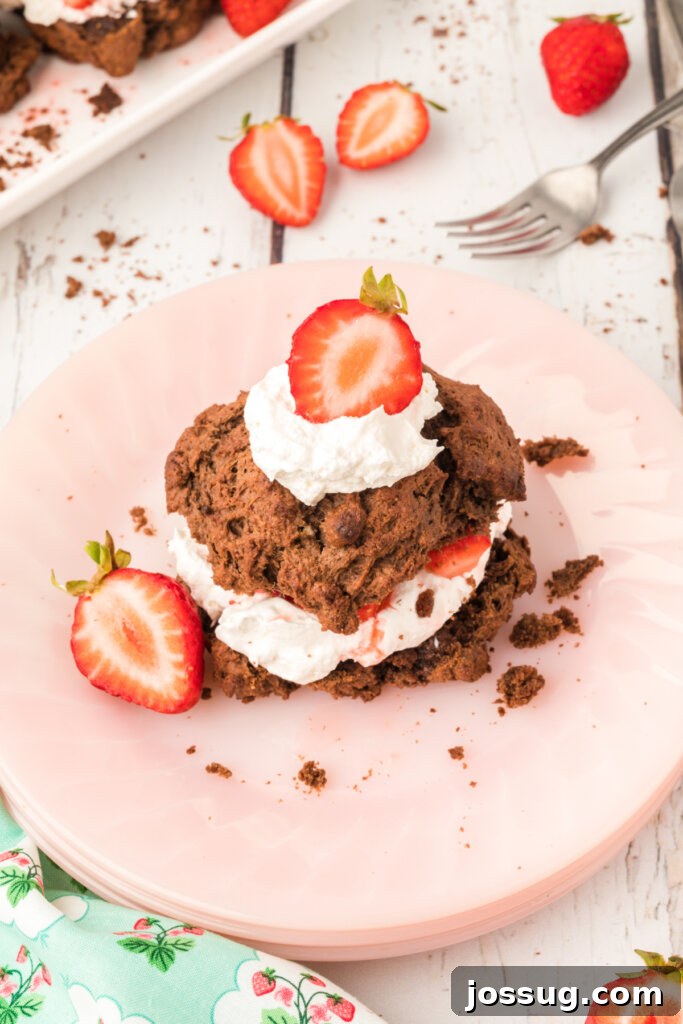 Looking down onto a pink plate with a chocolate strawberry shortcake