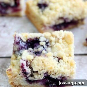 Delicious Blueberry Crumble Bars