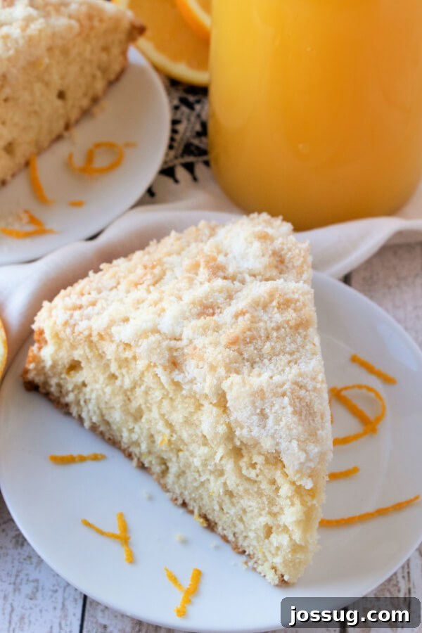 A beautiful slice of Orange Streusel Coffee Cake on a plate, showcasing its tender crumb and streusel topping.