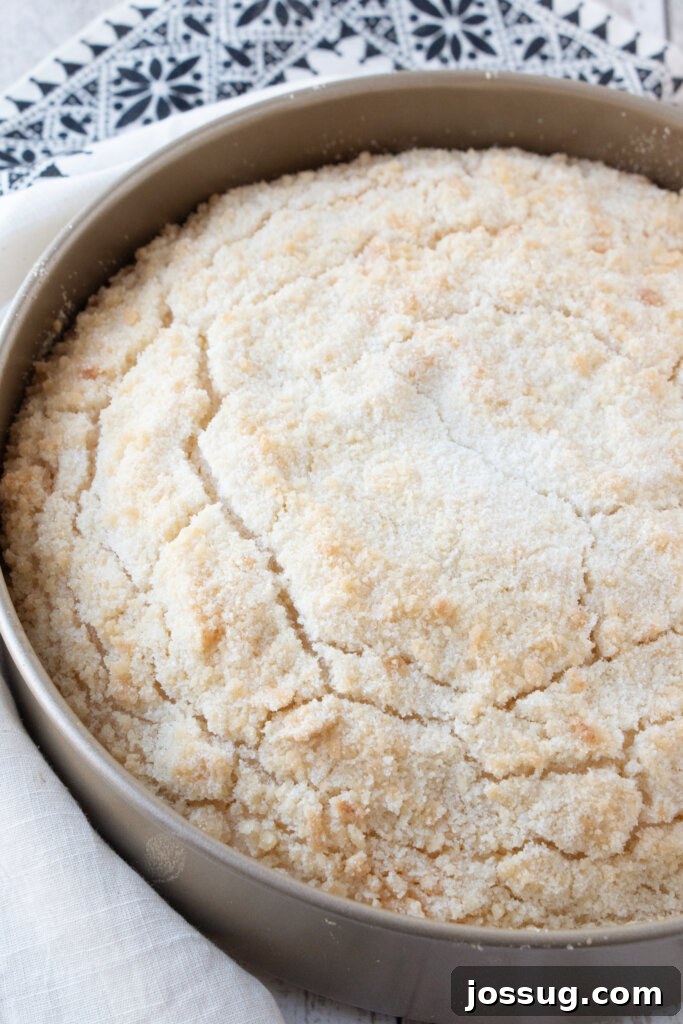 The fully baked Orange Streusel Coffee Cake cooling in its pan, golden brown and inviting.