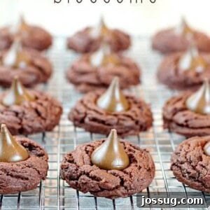 Chocolate Blooms 2 Chocolate Blossom Cookies with Hershey's Kisses