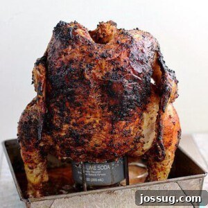 Whole Baja Citrus Chicken cooked on a grill with a soda can inside, presented in a metal tray.