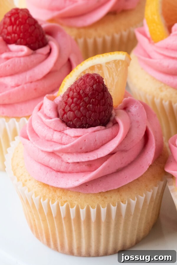 Close-up view of a beautifully frosted lemon cupcake with raspberry buttercream, garnished with fresh raspberries and a lemon slice
