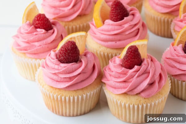 A delightful arrangement of finished lemon and raspberry cupcakes, perfectly frosted and ready to serve