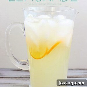 Sunshine Squeeze 2 Perfect Homemade Lemonade