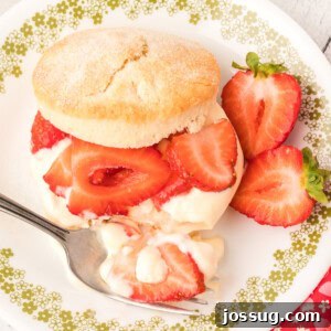 Strawberry shortcake on a plate with sliced strawberries and a fork.
