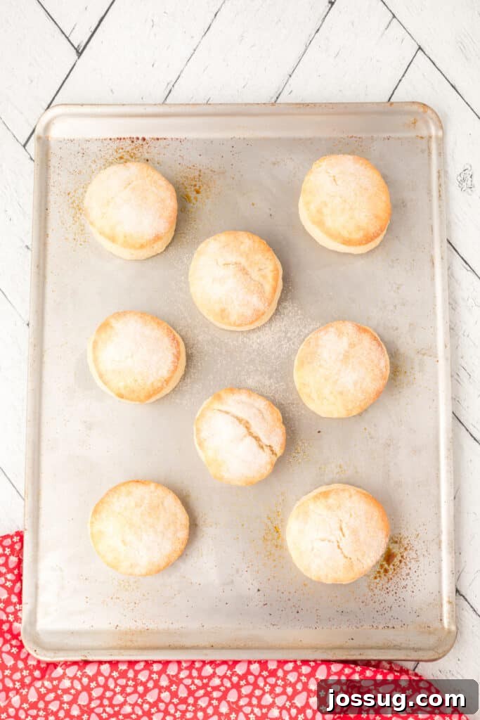 Freshly baked, golden-brown shortcakes arranged on a baking sheet, lightly dusted with sugar for a sweet, sparkling finish.